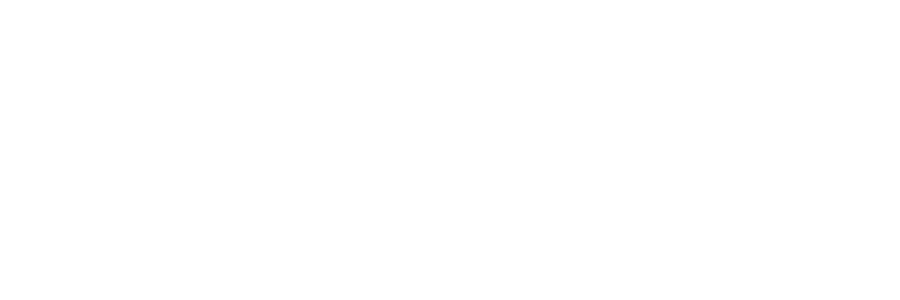 Ebbets Field Logo White
